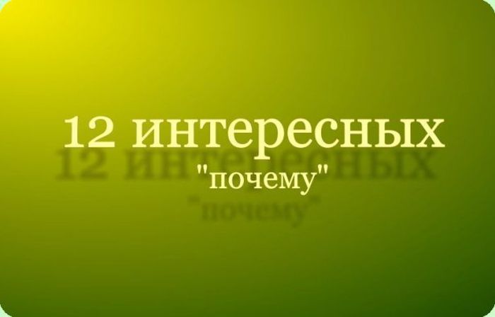 12 интереснейших познавательных фактов и историй