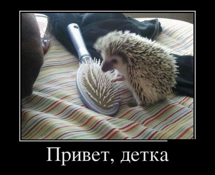 Классная подборка демотиваторов с юмором