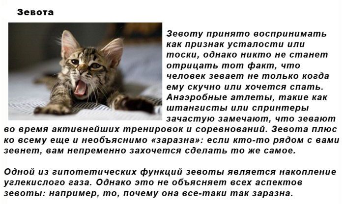 Интересные и необъяснимые научные факты