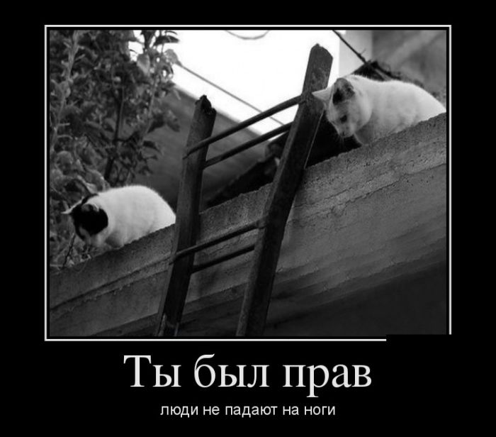 Классные демотиваторы со смыслом и без