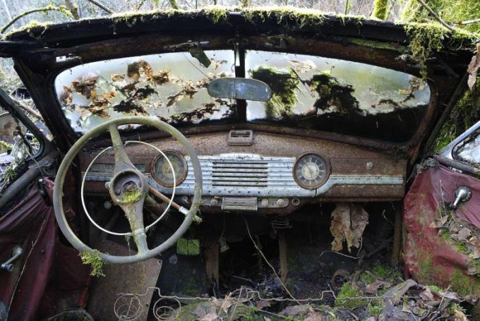 Таинственные снимки заброшенных американских авто в лесу
