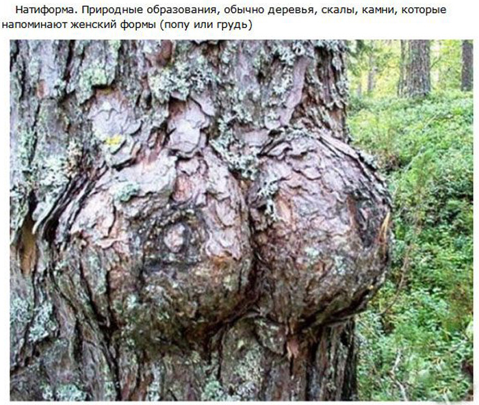 20 самых распространенных вещей, названия которых мы не знаем.