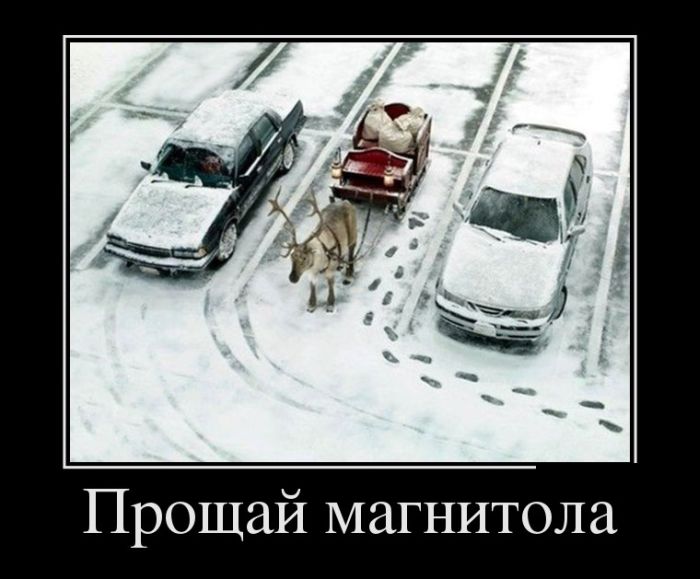 Сборник прикольных демотиваторов