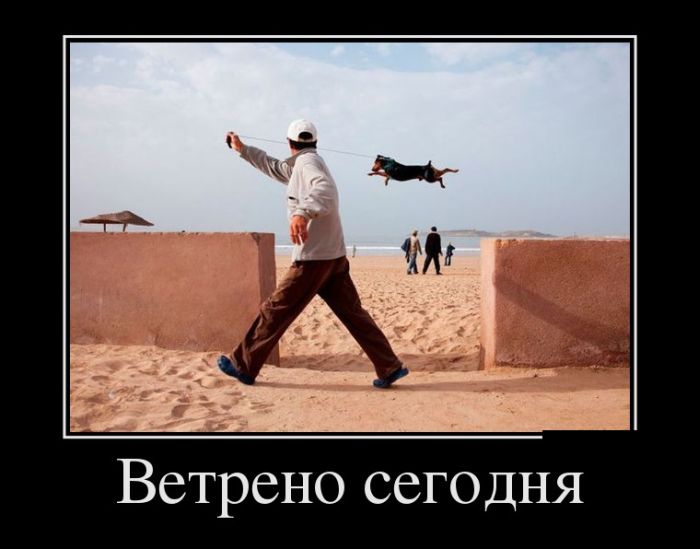 Классная подборка демотиваторов