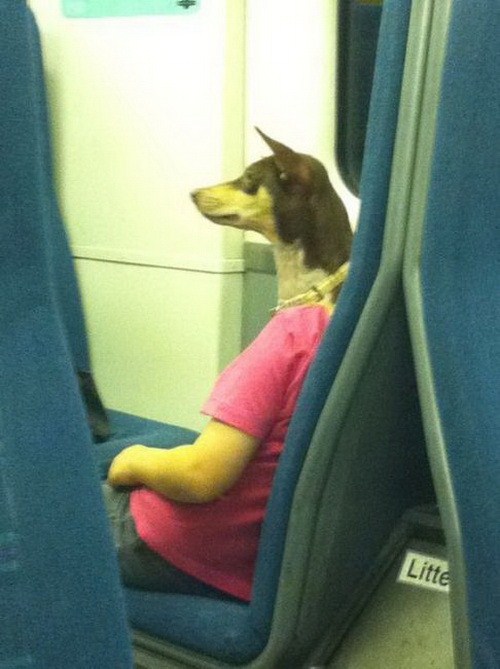 Прикольные и забавные фотоиллюзии