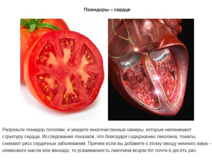 10 продуктов, которые полезны для похожих по виду органов человека