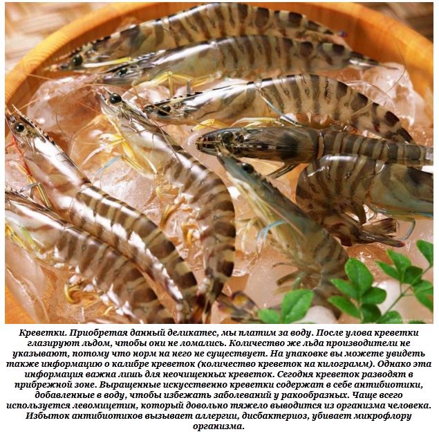 Какие продукты питания подделывают