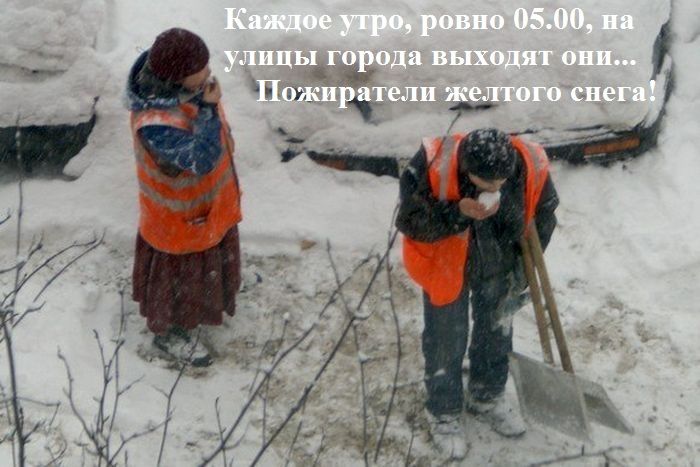 Классная подборка прикольных фотографий
