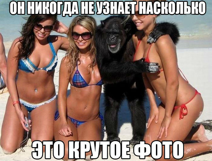 Прикольные комиксы