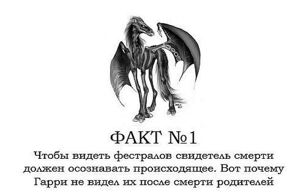 Интересные факты о Гарри Поттере