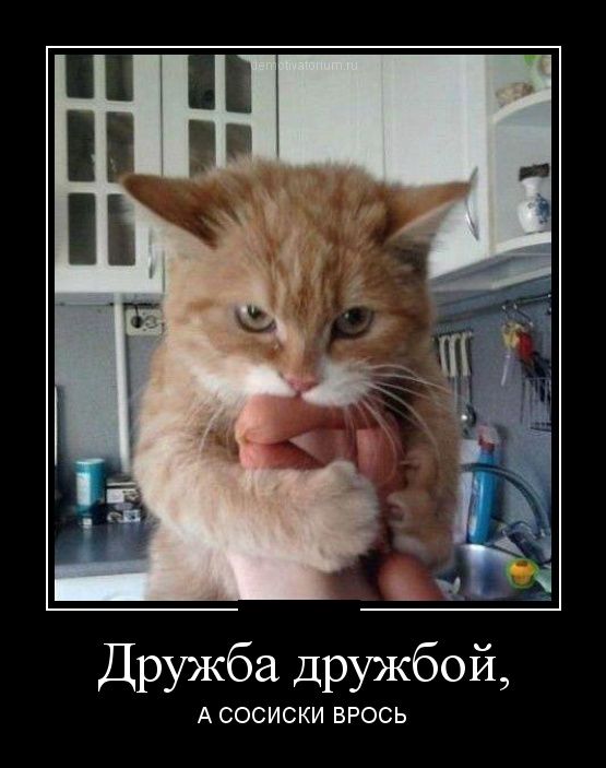 Прикольные демотиваторы со смыслом и без