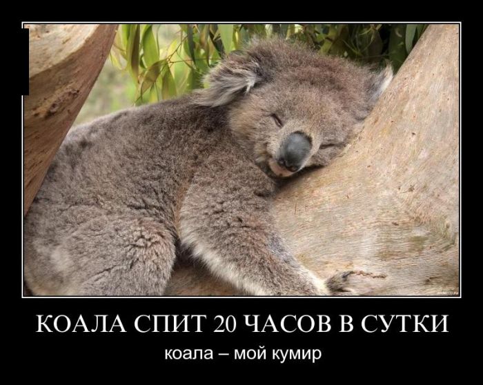 Прикольные демотиваторы со смыслом и без
