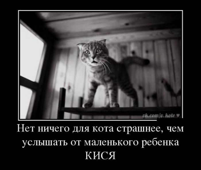 Коллекция приколных демотиваторов