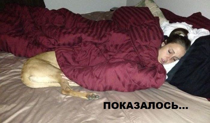 Утренняя подборка прикольных и позитивных фото