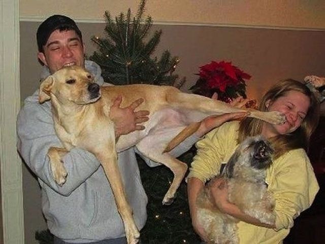 Прикольные WTF фотографии