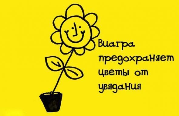 Познавательные факты обо всем