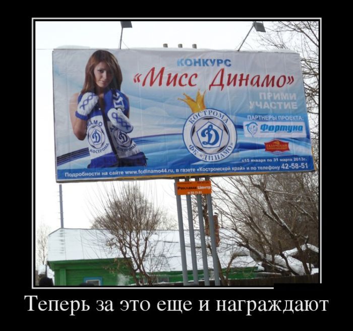 Коллекция демотивационных картинок с юмором