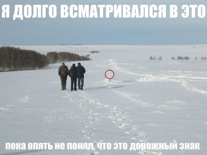 Утренняя подборка клевых фотоприколов
