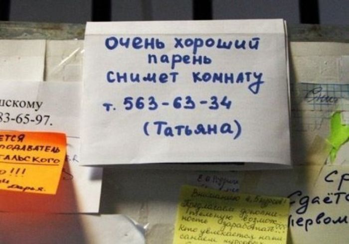 Подборка прикольных надписей и объявлений