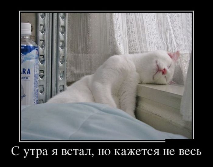 Прикольные демотиваторы со смыслом и без