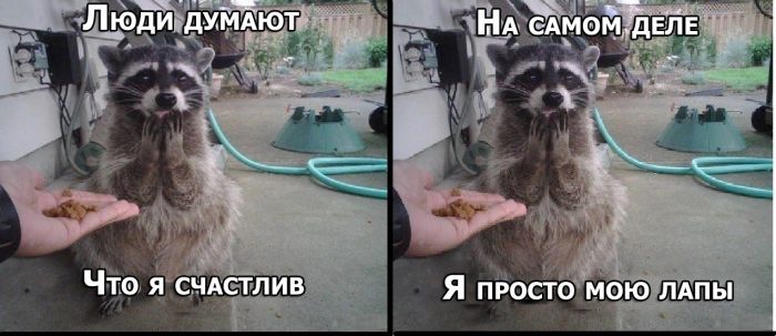 Комиксы с юмором