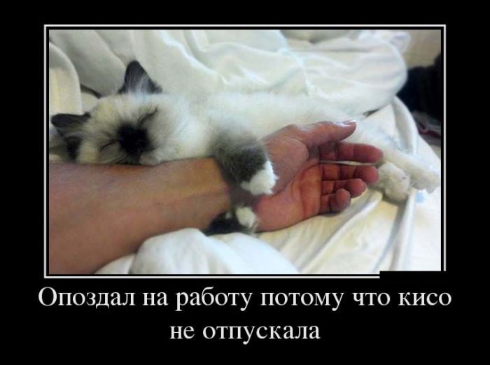Утренний сборник демотивационных приколов