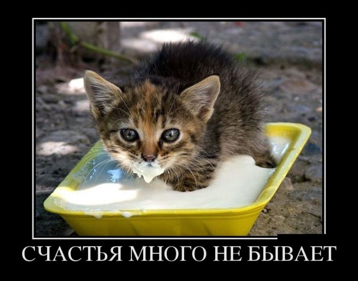 Сборник демотивационных приколов на понедельник