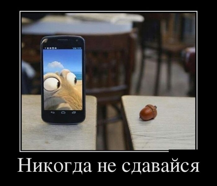 Сборник демотивационных приколов