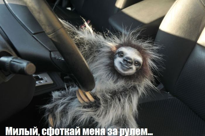 Коллекция автоприколов, демотиваторов про машины и приколов из соц. сетей