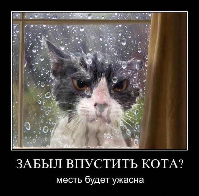 Сборник демотивационных приколов