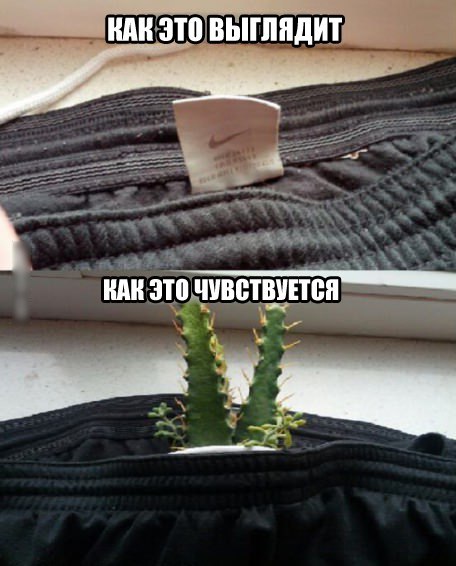 Подборка забавных комиксов