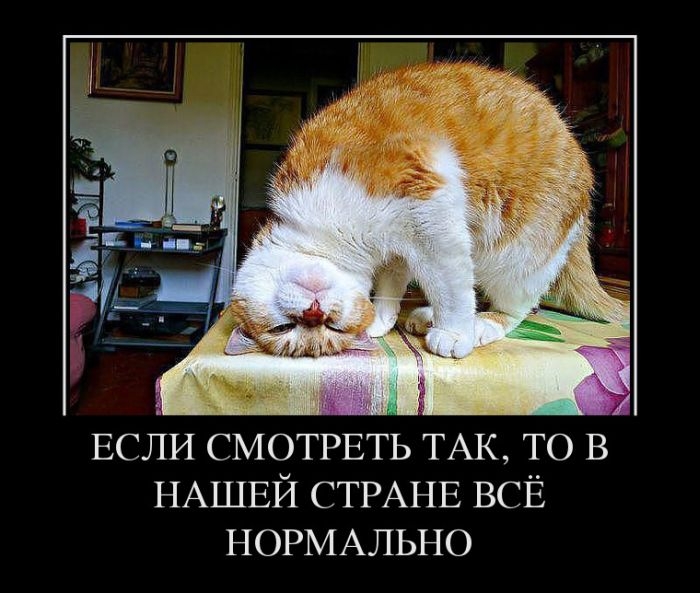 Прикольная коллекция демотивационных приколов