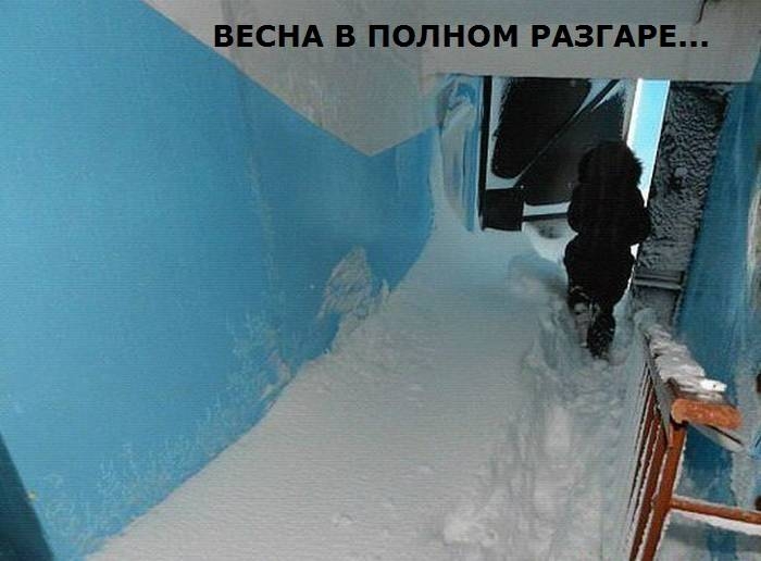 Подборка прикольных и просто красивых фотоснимков