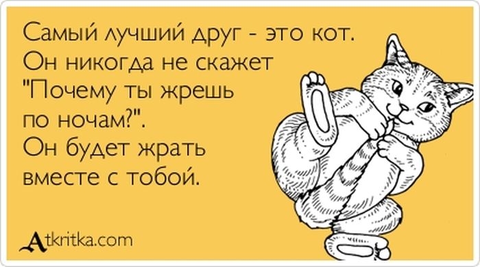 Прикольные "аткрытки" с забавными фразочками