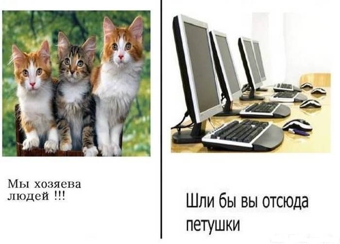 Забавные комиксы