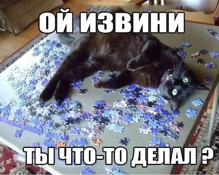 Сборник позитивных, прикольных фото и замечательных фотоприколов