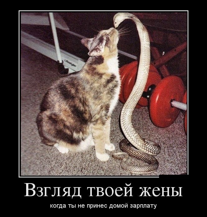 Прикольная коллекция демотивационных приколов