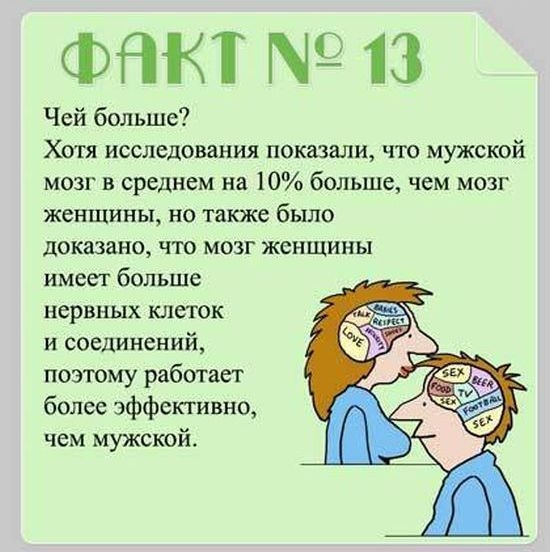 Интересные факты о нашем мозге