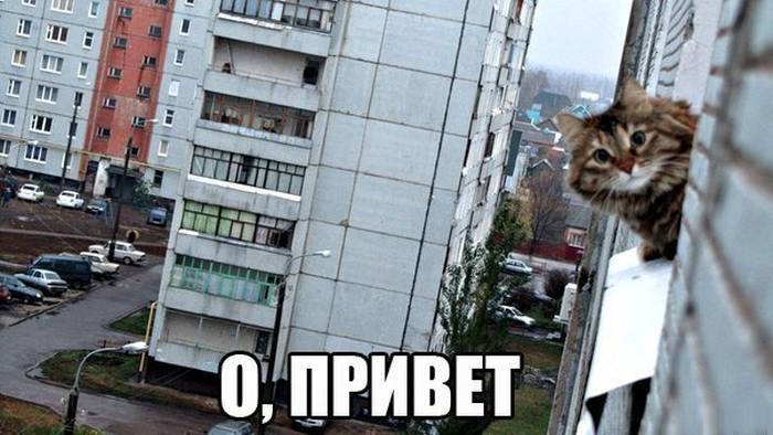 Утренняя порция хорошего юмора и отличного настроения