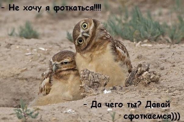 Классные комиксы и мемы