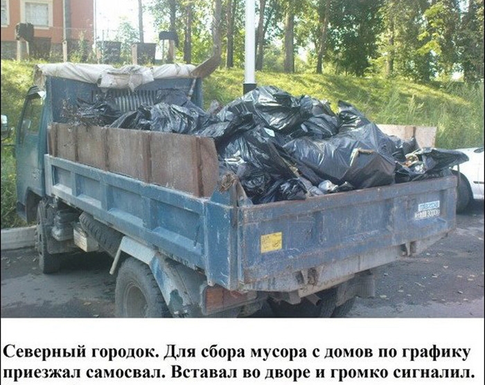Условный рефлекс, такое возможно только в России