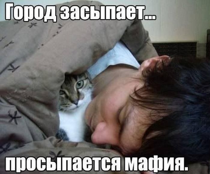 Веселая подборка фото приколов и просто классных фото