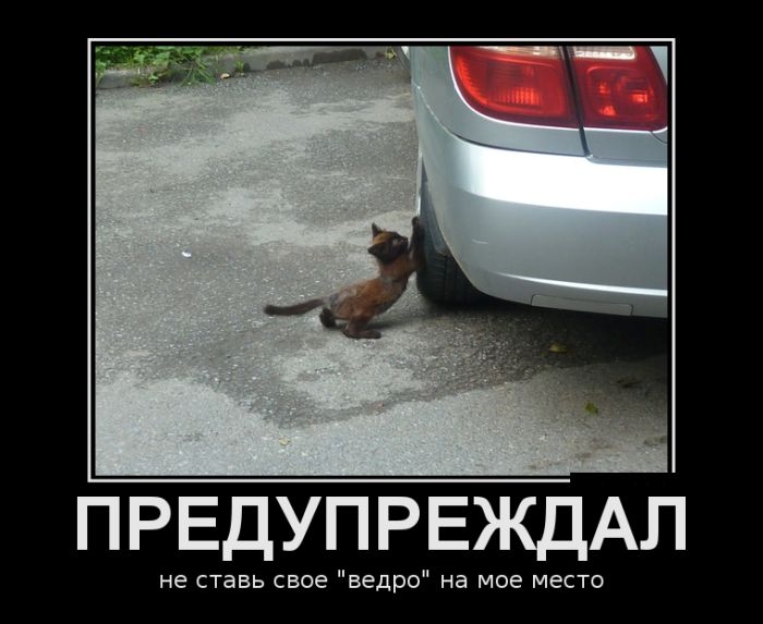 Сборник прикольных демотивационных картинок