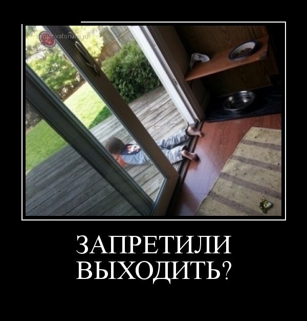 Прикольная коллекция демотиваторов