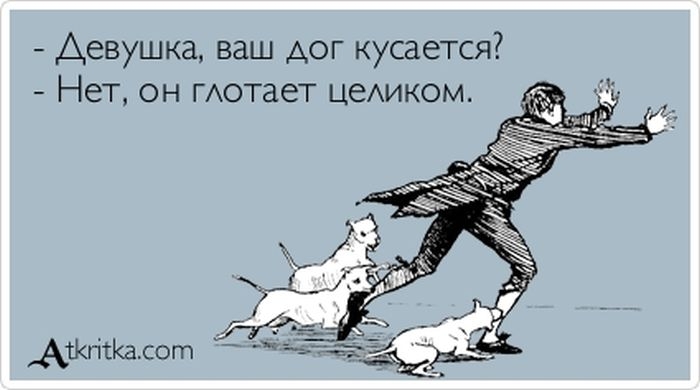Прикольные "аткрытки" с забавными фразочками