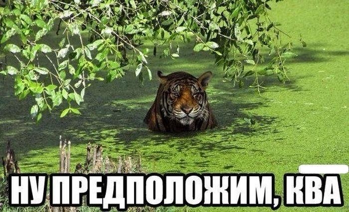 Классная подборка позитивных фотографий