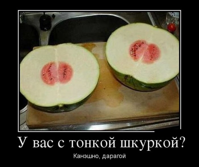 Прикольная коллекция демотиваторов