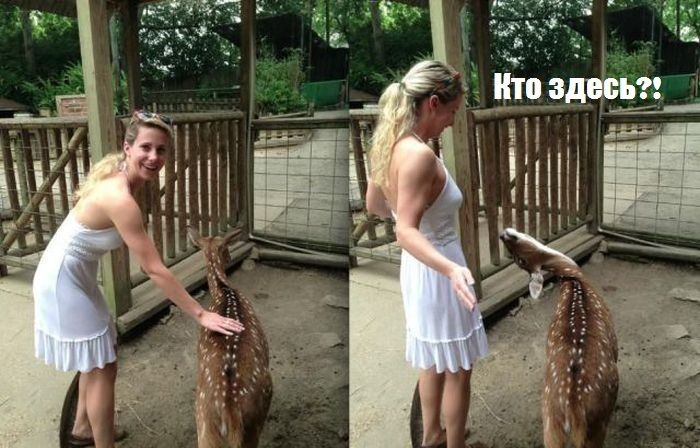 Классный утренний сборник позитивных фотоприколов