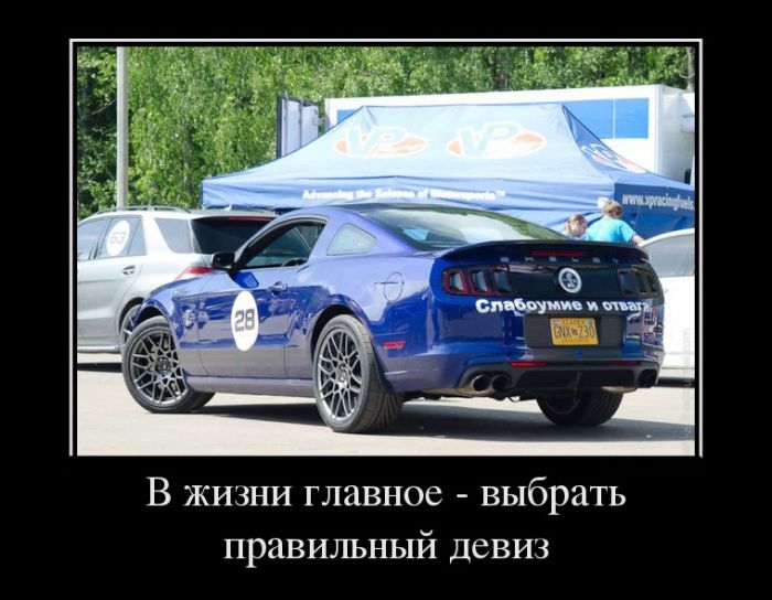 Сборник прикольных демотивационных картинок