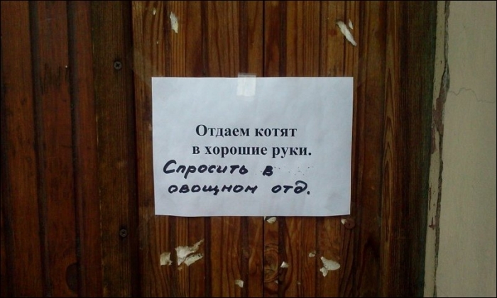 Подборка забавных надписей и объявлений Санкт-Петербурга